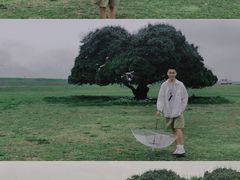 -芦苞胥江祖庙