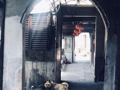 -丝绸小镇荻港古村