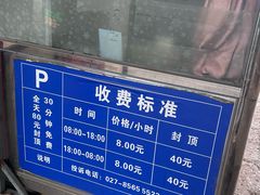 -武汉关码头(轮渡站)