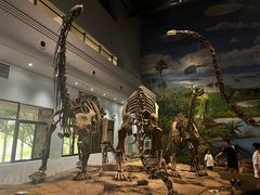 -自贡恐龙博物馆