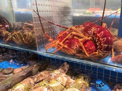 -望海湾鱼头泡饼·天津菜(空港店)