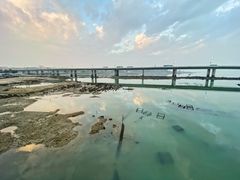 -海堤纪念公园
