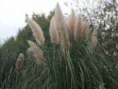 -贵阳市花溪国家城市湿地公园
