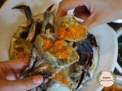 原味酱油蟹-普乐酱蟹(coex店)