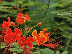 -星巴克(深圳前海企业公馆店)