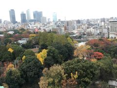 -名古屋城