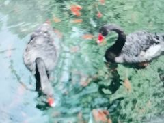-水磨沟公园