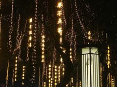 -大雁塔北广场音乐喷泉