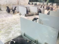 -大连圣亚海洋世界