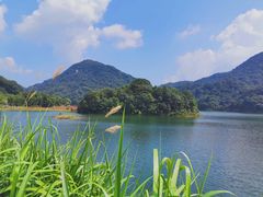 -广州市石门国家森林公园