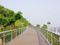 -板樟山森林公园
