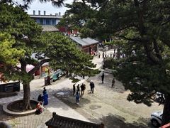 -妙峰山风景名胜区