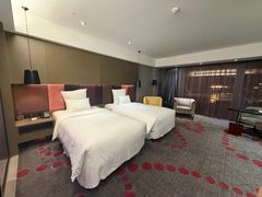 -南京禄口机场雅高铂尔曼大酒店