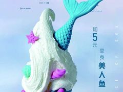 -野人先生现做冰淇淋(西安赛格店)