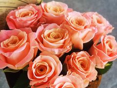 -三兄弟高炉烧饼