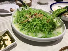 -石头咕(葵蓬店)