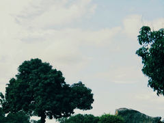 -红花山公园