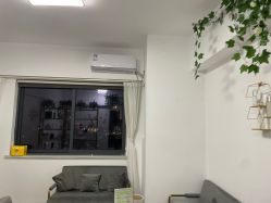 -凡碧诗毛孔收细