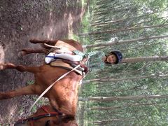 静安马场-沈阳静安马场