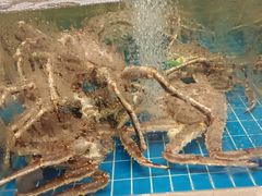 -新丁香海鲜酒店(银海商贸城店)