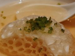 -西郊5号·Maggie 5
