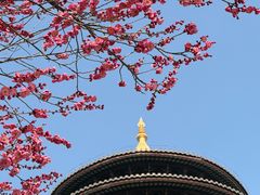 -圆通寺