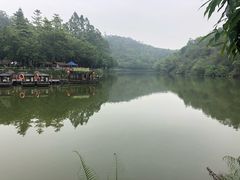 -李小龙乐园(顺德均安店)
