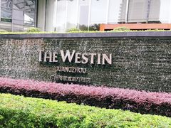 -红棉中餐厅·广州海航威斯汀酒店
