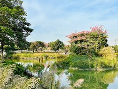 -王借岗森林公园