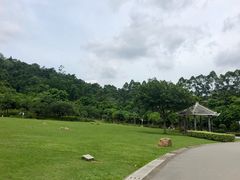 -火炉山森林公园