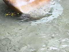 -碧水湾温泉