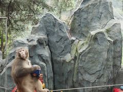 -石燕湖生态旅游景区