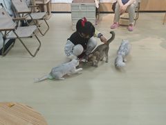 -秦皇岛野生动物园