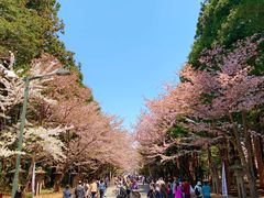 -北海道神宫