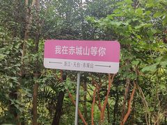 -天台山赤城山景区