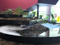 -雅苑中餐厅