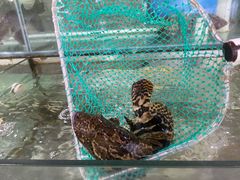 -钱大妈海鲜饭店(保利林语店)