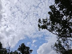 -上海吴淞炮台湾国家湿地公园