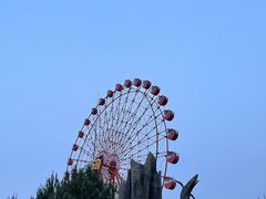 -皇家海洋乐园