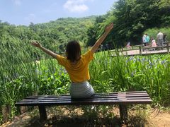 -天目湖山水园