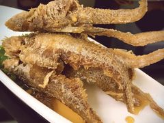 -丰收日·小海鲜·沪上家宴(顾村正大店)