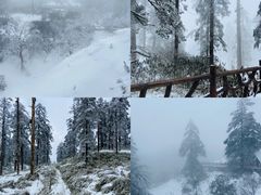 -瓦屋山景区
