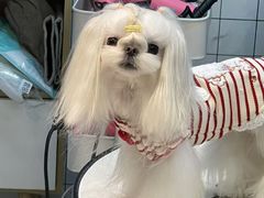 -萌宠主义宠物生活馆(金山路店)