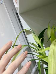 -CM.Nail美甲美睫