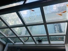 -蜜舍咖啡(洋人街店)