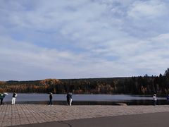 -五营红松林海景区