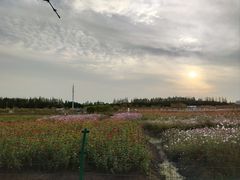 -嘉北郊野公园