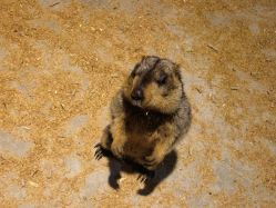 -酷嗒动物文化乐园(cutezoo西溪乐天城店)