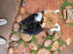 -云南野生动物园