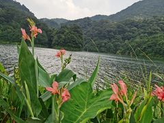 -广州市石门国家森林公园